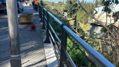 Operarios trabajando en la renovación de la barandilla de la carretera de La Jara en Sanlúcar.