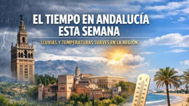 Paisaje de Andalucía con torre, montañas y palmera, clima inestable y lluvias.
