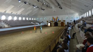 Interior del picadero de la Real Escuela Andaluza del Arte Ecuestre en Jerez, donde el PSOE denuncia irregularidades en la contratación.