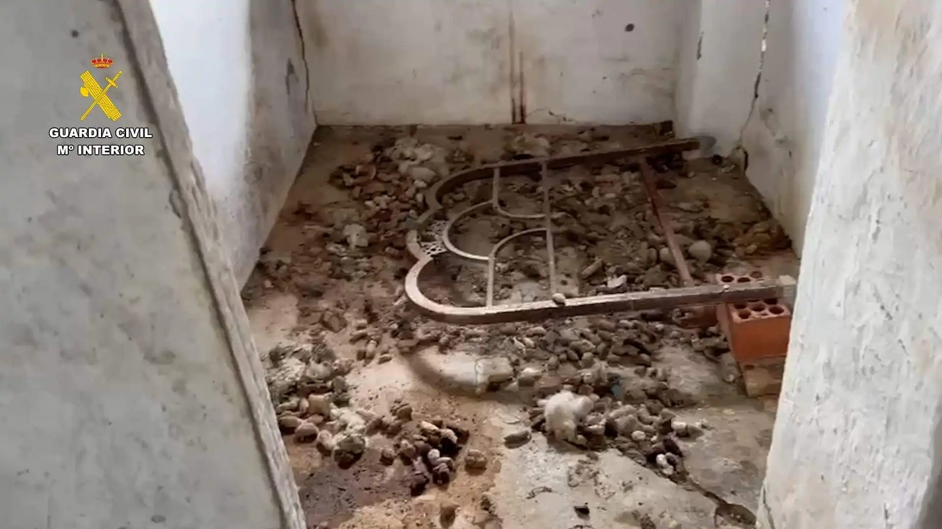 Instalaciones precarias y suciedad en el lugar donde el SEPRONA rescató a 75 perros por maltrato animal en Cádiz.