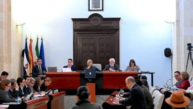 Pleno del Ayuntamiento de Jerez aprobando la Declaración Institucional en apoyo al sector del contact center en Jerez y la plantilla de Majorel.