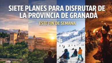 Disfruta de la provincia de Granada con planes para todos este fin de semana.