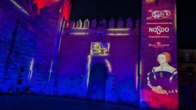 Mapping histórico en el Alcázar de Sevilla para celebrar el 500 aniversario de la boda de Carlos V.