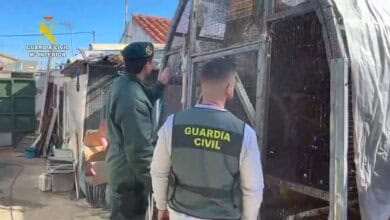 Imagen de la Guardia Civil inspeccionando jaulas con aves exóticas en Cádiz.
