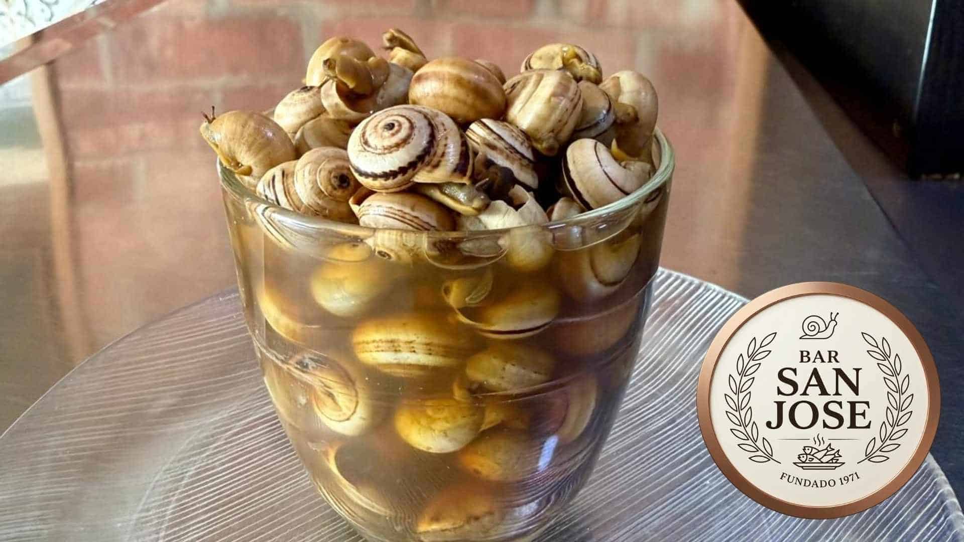 Caracoles frescos en Jerez, vendidos en el Bar San José en una tarde de gastronomía local.