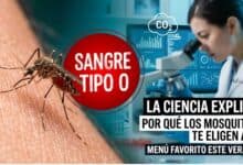 Gráfico explicativo de por qué los mosquitos prefieren picar a personas con sangre tipo O