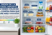 Infografía detallada sobre cómo organizar la nevera por niveles de temperatura para conservar alimentos.