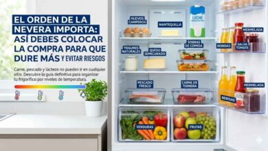 Infografía detallada sobre cómo organizar la nevera por niveles de temperatura para conservar alimentos.