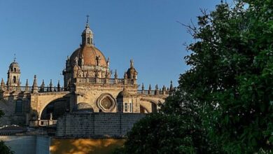Catedral de Jerez de la Frontera, vista de la cúpula principal y campanario desde un patio con árboles.
