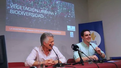 Ponencia sobre vegetación urbana y biodiversidad en el Ateneo de Jerez con Jaime Espinar.