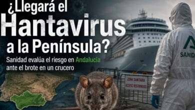 Infografía sobre el riesgo de hantavirus en Andalucía y la península con imagen de un crucero y personal sanitario.