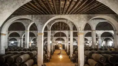 Interior de una bodega histórica en Jerez de la Frontera con filas de barriles de roble bajo arcos de piedra y vigas de madera.