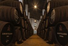 Interior de una bodega subterránea de Jerez con hileras de botas de vino amontillado y palo cortado.