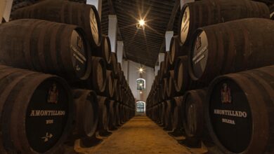 Interior de una bodega subterránea de Jerez con hileras de botas de vino amontillado y palo cortado.