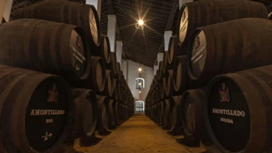 Interior de una bodega subterránea de Jerez con hileras de botas de vino amontillado y palo cortado.
