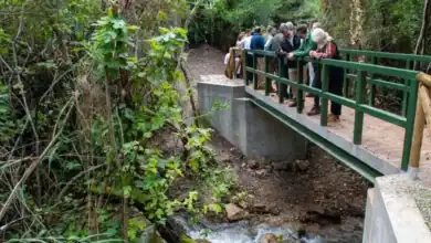 Grupo de personas haciendo senderismo fácil y cruzando un puente de madera verde sobre el río Majaceite en Andalucía.