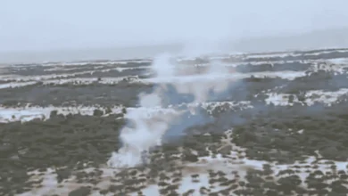 Paisaje de humedales en Andalucía con vegetación y vapor en el aire.