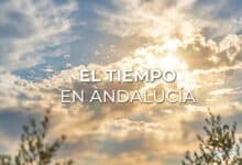 Cielo soleado con nubes y árboles en Andalucía, clima cálido y soleado.