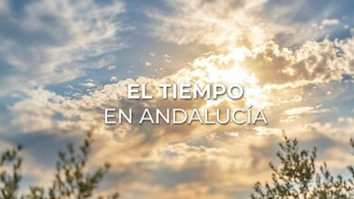 Cielo soleado con nubes y árboles en Andalucía, clima cálido y soleado.