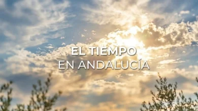 Cielo soleado con nubes y árboles en Andalucía, clima cálido y soleado.