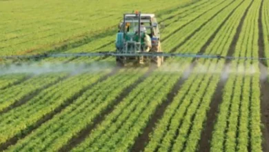 Tractor realizando labores de mantenimiento hídrico y tratamiento en cultivos del sector agrícola y el olivar.