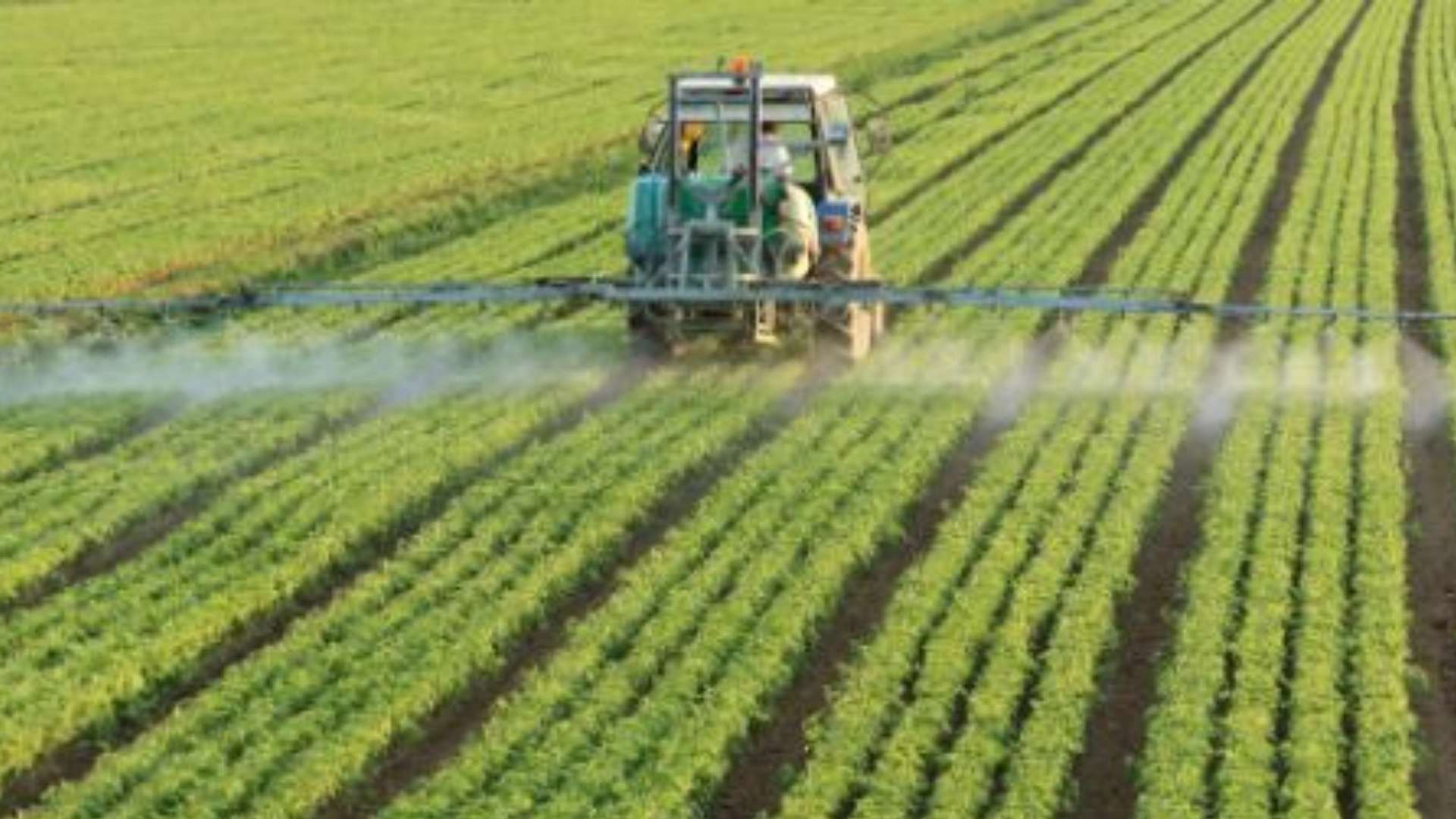 Tractor realizando labores de mantenimiento hídrico y tratamiento en cultivos del sector agrícola y el olivar.