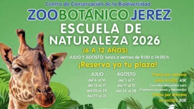 Cartel oficial de la Escuela de Naturaleza 2026 del Zoobotánico Jerez para julio y agosto