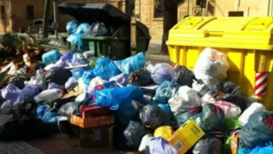 Contenedores desbordados y bolsas de basura acumuladas en la vía pública en Jerez.