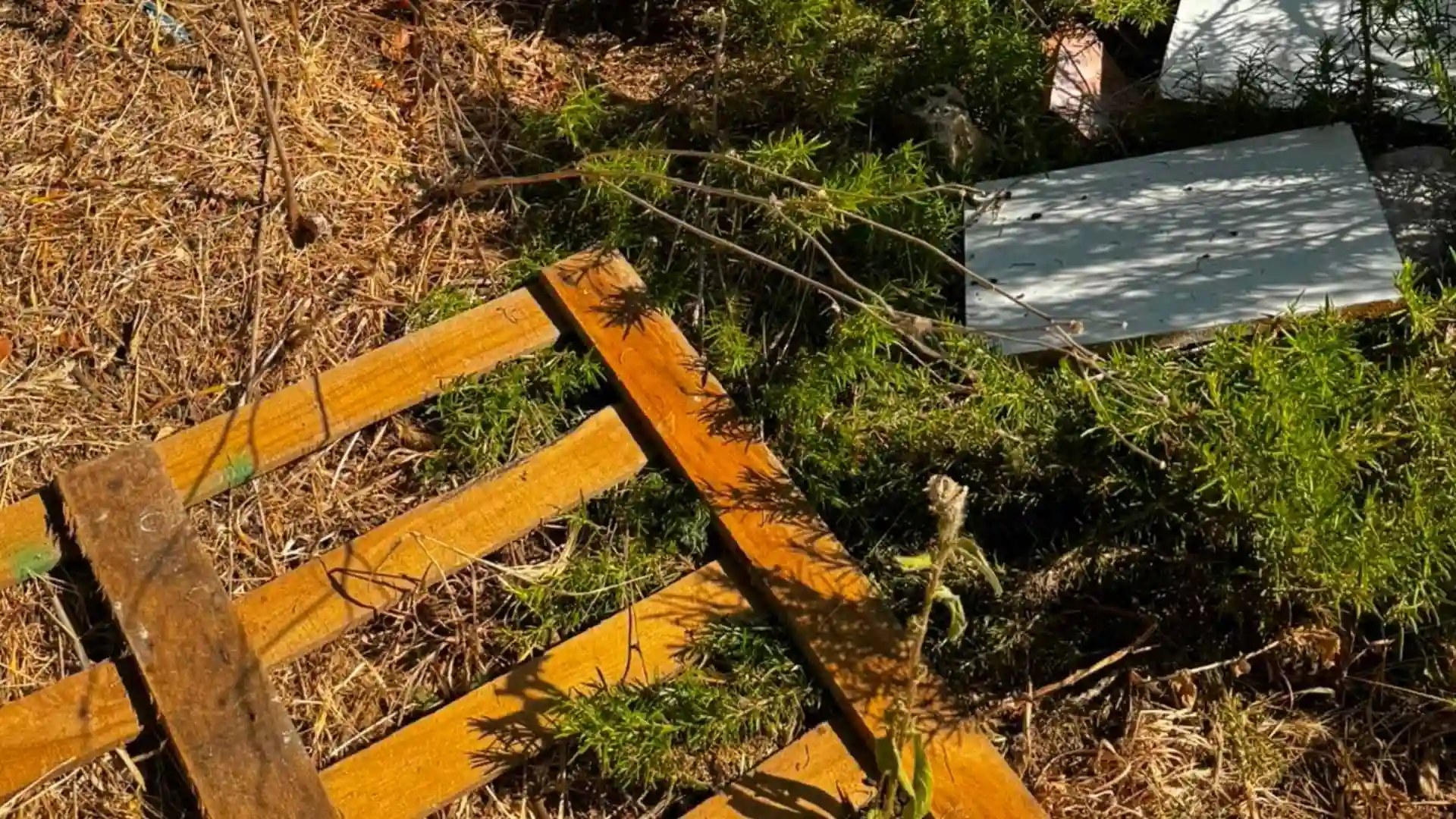 Denuncia de abandono y acumulación de basura y maderas en Mesas de Asta Jerez.