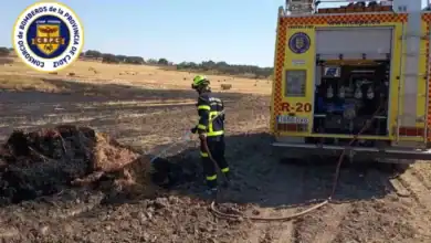 Bombero del Consorcio de la Provincia de Cádiz trabajando en la extinción de un incendio forestal en un campo.