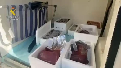 Incautación de 31 kilos de pescado y marisco sin trazabilidad por la Guardia Civil en Cádiz.