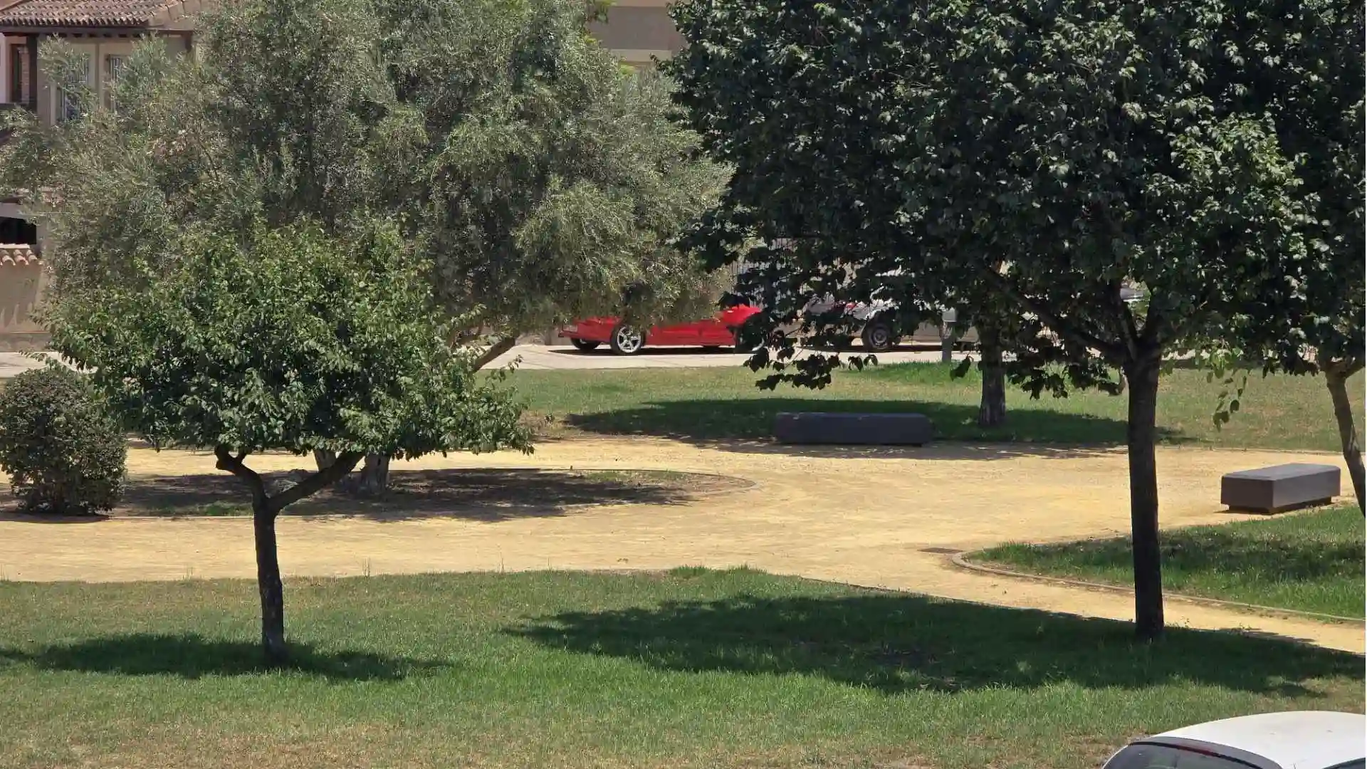 Vista de un parque urbano con árboles y zonas ajardinadas en una jornada soleada.