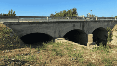 Puente de piedra en Andalucía, paisaje rural y natural.
