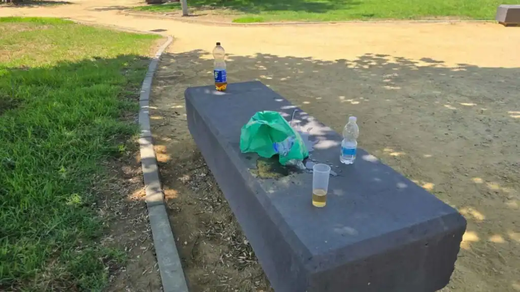Restos de botellón con botellas de plástico y vasos sobre un banco de piedra en un parque de Jerez.