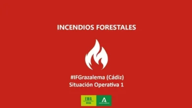 Infografía sobre el incendio forestal #IFGrazalema en Cádiz con Situación Operativa 1.