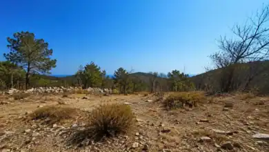 Paisaje forestal seco en Andalucía con riesgo extremo de incendios durante el verano.