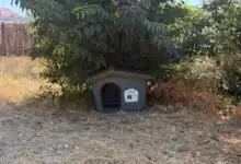 Caseta para gatos instalada por el Ayuntamiento de Jerez en una colonia felina urbana.