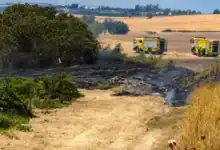 Bomberos controlando un pequeño incendio en viñedos cerca de Estella del Marqués.
