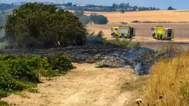 Bomberos controlando un pequeño incendio en viñedos cerca de Estella del Marqués.