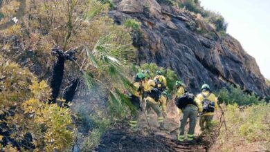 Brigada forestal del Plan Infoca trabajando en la extinción del incendio en Los Gallardos, Almería.