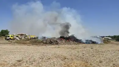 Incendio de rastrojos cerca de la barriada de San José Obrero en Jerez de la Frontera con camiones de bomberos trabajando.