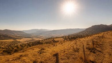 Paisaje rural andaluz bajo un sol intenso y cielo despejado durante una ola de calor.