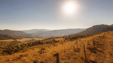 Paisaje rural andaluz bajo un sol intenso y cielo despejado durante una ola de calor.