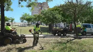 Operarios municipales realizando labores de desbroce y mantenimiento en un parque de Jerez de la Frontera
