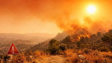 Paisaje forestal en Andalucia afectado por una severa ola de calor y riesgo extremo de incendios con una señal de alerta máxima