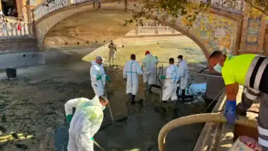 Personal de limpieza trabajando en la ría de la Plaza de España en Sevilla.