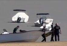 Guardia Civil y Policía Nacional en acción en Sanlúcar.