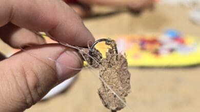 Anzuelos enterrados en la arena de la playa La Janda en Sanlúcar.