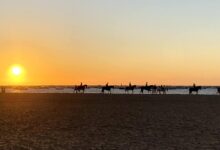 Caballos en la playa de Sanlúcar durante la puesta de sol.