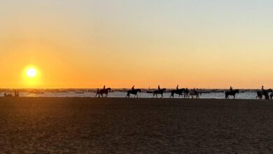 Caballos en la playa de Sanlúcar durante la puesta de sol.